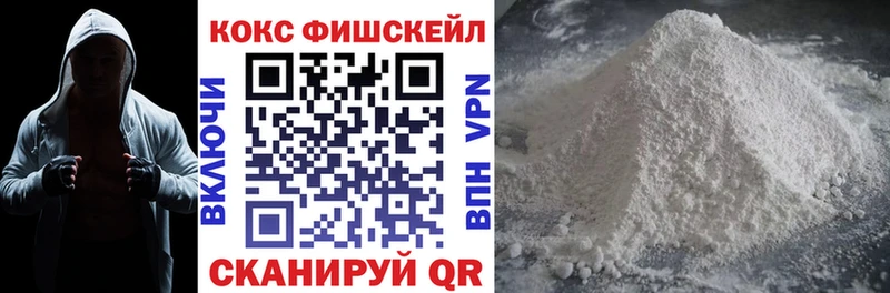 Cocaine Fish Scale  Купить закладки  Могоча 