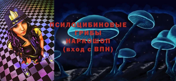 соль курить ск Белокуриха