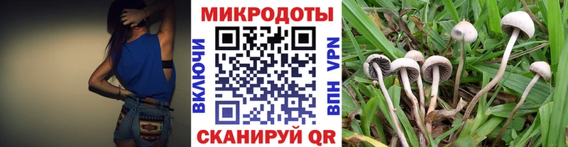Псилоцибиновые грибы Cubensis  Купить  Могоча 