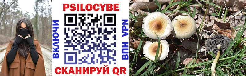 Галлюциногенные грибы Psilocybine cubensis Могоча